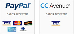 Payment options - Paypal / Visa