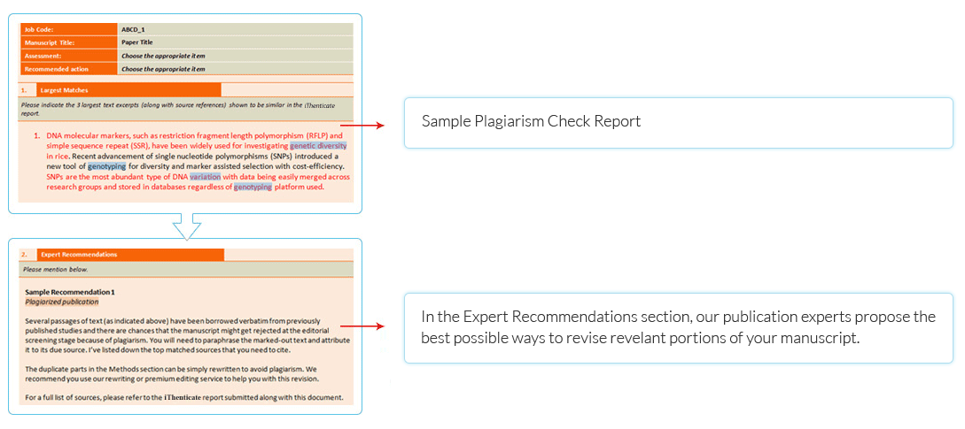 Plagiarism Check Services by IOP